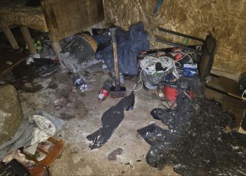 МВД ДНР раскрыли убийство в Мариуполе