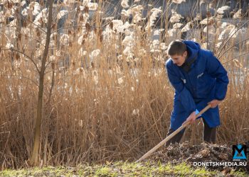 В Донецке 150 активистов вышли на первый весенний субботник