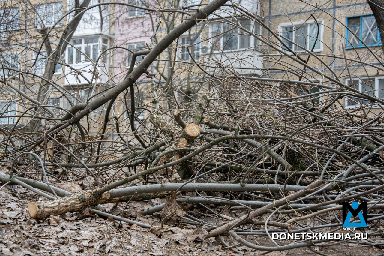 В Донецке продолжают кронировать и ликвидировать аварийные деревья: куда звонить, если не вывозят В Донецке продолжают кронировать и ликвидировать аварийные деревья: куда звонить, если не вывозят