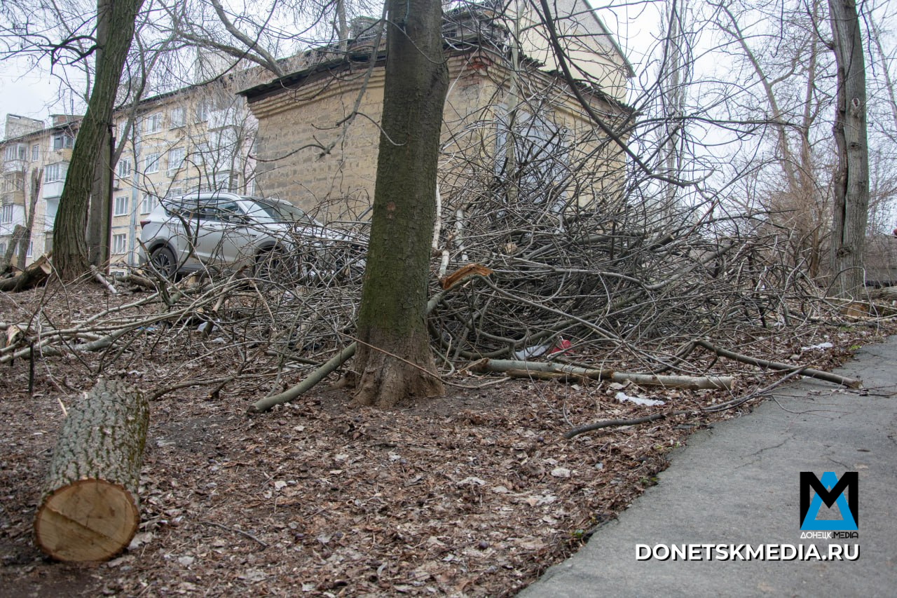 В Донецке продолжают кронировать и ликвидировать аварийные деревья: куда звонить, если не вывозят В Донецке продолжают кронировать и ликвидировать аварийные деревья: куда звонить, если не вывозят