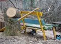 В Донецке продолжают кронировать и ликвидировать аварийные деревья: куда звонить, если не вывозят