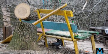 В Донецке продолжают кронировать и ликвидировать аварийные деревья: куда звонить, если не вывозят В Донецке продолжают кронировать и ликвидировать аварийные деревья: куда звонить, если не вывозят