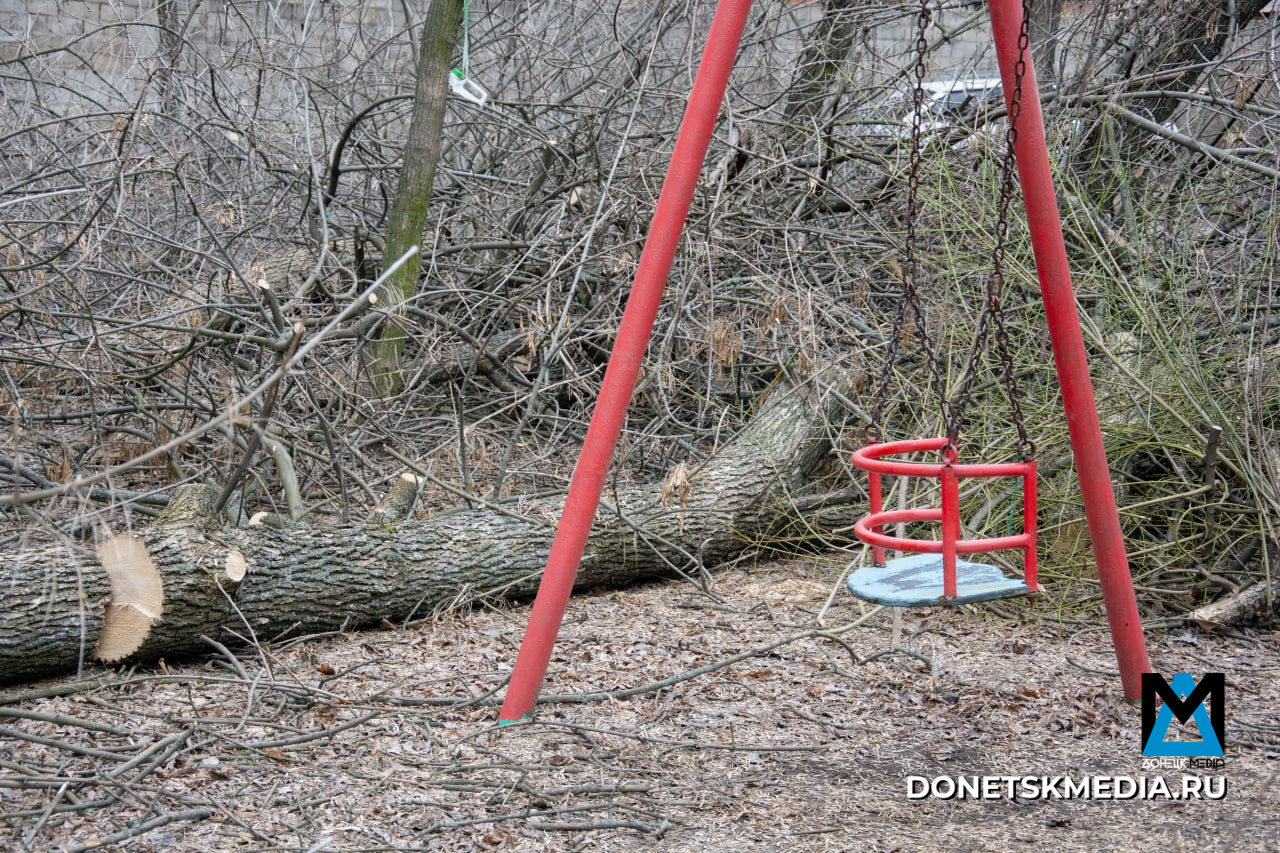 В Донецке продолжают кронировать и ликвидировать аварийные деревья: куда звонить, если не вывозят