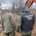 В ЛНР извлекают тела жертв украинской агрессии у поселка Лесная дача