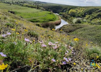Символы Донбасса под угрозой: насколько опасны терриконы на самом деле