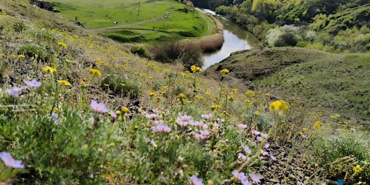 Символы Донбасса под угрозой: насколько опасны терриконы на самом деле