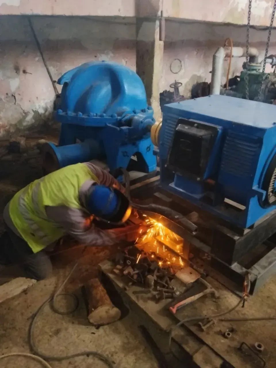 Ипотека под 2%, цирк на воде и подарок для Куклачева. Дайджест за 14 апреля