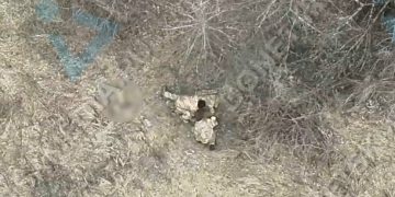 Каннибалы в рядах ВСУ: окруженные неонацисты пополняют рацион погибшими товарищами