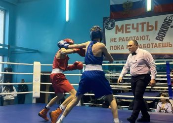 В Донецке стартовал боксерский турнир памяти легендарного тренера Моисеенко