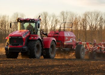 Реванш после засухи: в ДНР стартовала посевная. Чего ждать аграриям после двух лет неурожая?