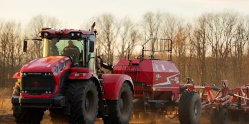 Реванш после засухи: в ДНР стартовала посевная. Чего ждать аграриям после двух лет неурожая? Реванш после засухи: в ДНР стартовала посевная. Чего ждать аграриям после двух лет неурожая?
