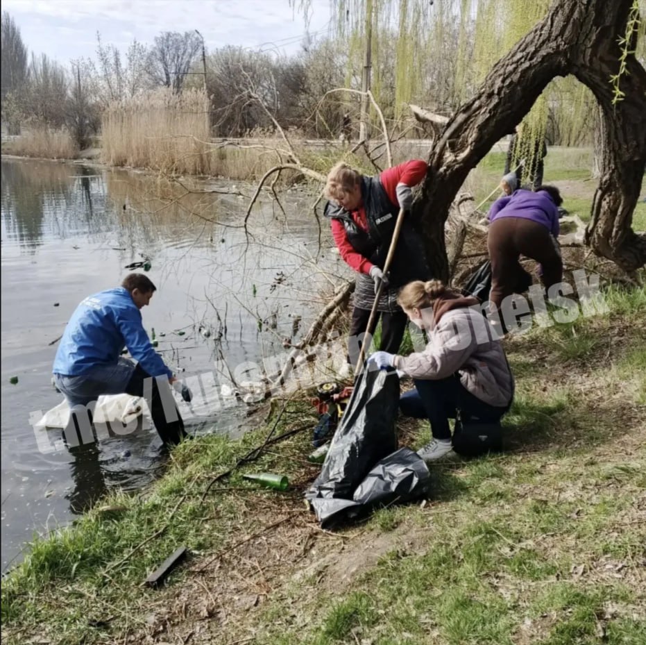 Донецк зеленеет: активисты высадили 300 растений и очистили берега города