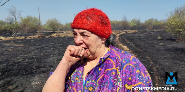 Сила стихии: в Донбассе ввели особый противопожарный режим