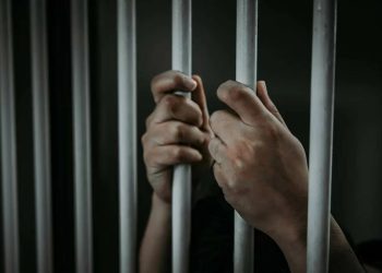 «Скоро такие приговоры будут выносить и в Польше»: в ЛНР осудили польского наёмника