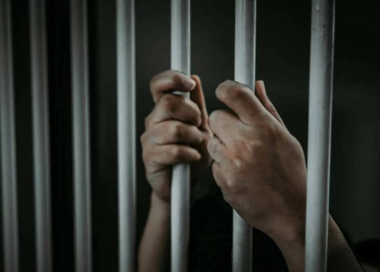 «Скоро такие приговоры будут выносить и в Польше»: в ЛНР осудили польского наёмника