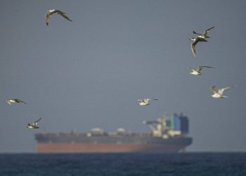 Коц: Россия получает более 100 млн долларов в сутки из-за блокады Ормузского пролива