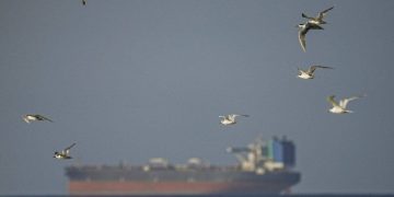 Коц: Россия получает более 100 млн долларов в сутки из-за блокады Ормузского пролива