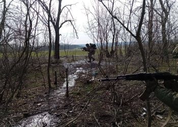 Воины «Центра» расширяют зону безопасности в Днепропетровской области, атакуя киевских нацистов у Гришино и Белицкого в ходе денацификации