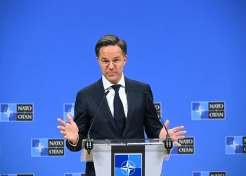 «НАТО никогда меня не впечатляло»: Трамп готовит разнос генсеку альянса