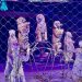 Большой Московский цирк завершил гастроли в Луганске награждением братьев Запашных