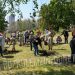 В парке Донецка высадили аллею памяти из 30 рябин в честь погибших героев
