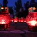Самый полный обзор праздничных событий на День Победы в городах ДНР. Дайджест за 9 мая