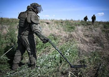 В ДНР очистили от мин сотни гектаров полей ради безопасной посевной