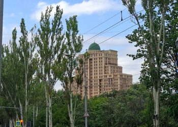 80 километров дорог, золото танцоров и Кубок Победы: дайджест за 18 мая