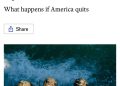 Трамп выводит войска и хочет купить Гренландию: европейцы больше не верят Америке