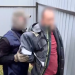 В Калужской области задержан радикал, призывавший к расправам над участниками СВО