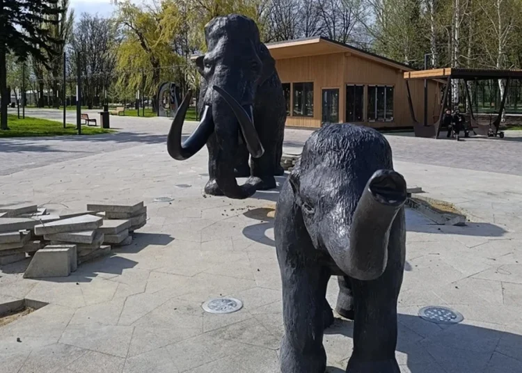 Вместо старого сквера в Макеевке сделали новый парк