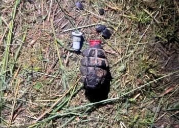 В Снежном задержали неадеквата, угрожавшего соседу муляжом «лимонки»
