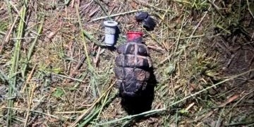 В Снежном задержали неадеквата, угрожавшего соседу муляжом «лимонки»