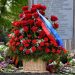 Минута, объединившая страну: как в ЛНР прошел День памяти и скорби