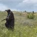 Группировка войск «Центр» продвигается на Добропольском и Днепропетровском направлениях
