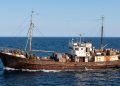 Азов меняет правила: ДНР готовится к рыбному ренессансу