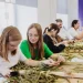 За полгода волонтеры Москвы передали бойцам на передовую около 2500 маскировочных сетей