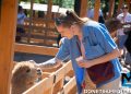 Парк альпак открылся у «Донбасс Арены»: очереди, улыбки и то, о чём молчат энциклопедии