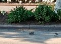 В Курской области подорвали машину, ранены четыре человека, включая главу Рыльского района