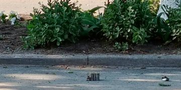 В Курской области подорвали машину, ранены четыре человека, включая главу Рыльского района