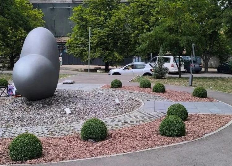 В сквере Молодожёнов в Луганске обустроили декоративную клумбу с вечнозелёными кустарниками