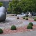 В сквере Молодожёнов в Луганске обустроили декоративную клумбу с вечнозелёными кустарниками В сквере Молодожёнов в Луганске обустроили декоративную клумбу с вечнозелёными кустарниками
