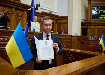 Новый премьер Украины Корецкий имел три земельных участка в окрестностях Константиновки