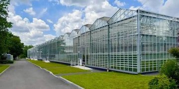 Капремонт Донецкого ботанического сада, чудесное спасение женщины в Горловке и новые парки для Макеевки. Дайджест за 21 июля
