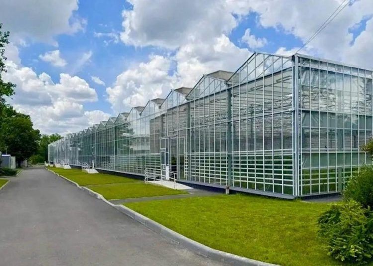 Капремонт Донецкого ботанического сада, чудесное спасение женщины в Горловке и новые парки для Макеевки. Дайджест за 21 июля