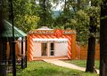Пушистые терапевты: в Донецке открылся первый парк альпак