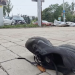 В Донецке водитель иномарки протаранил «ГАЗель», пытавшись скрыться от ДПС