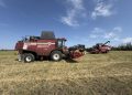 Урожайность зерновых в ДНР выросла более чем в два раза