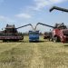 Больше 1 млн тонн сельскохозяйственных культур намерены собрать в ДНР