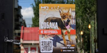 Добрые сердца в действии: волонтеры расклеили плакаты с собаками в Донецке Добрые сердца в действии: волонтеры расклеили плакаты с собаками в Донецке